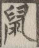 鼠 위치 확인됨
