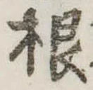 根 위치 확인됨