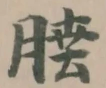 𦜣 위치 확인됨
