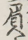 屓 위치 확인됨