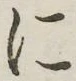 글자 に