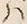 文字ハ