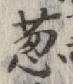 葱 위치 확인됨