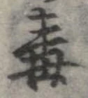Đã định vị 毒