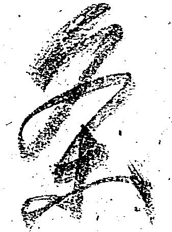 位置 確認된 条