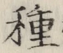 글자 種