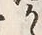 字か