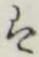 글자 は