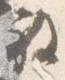 已定位放