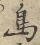 鳥 위치 확인됨