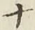 文字 ナ