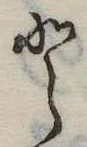 Đã định vị 𛁻