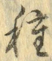 已定位種