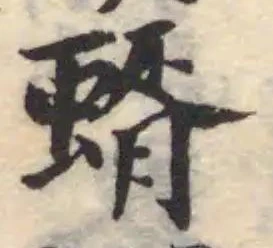 蝑の位置