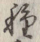 已定位種