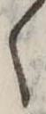 く 위치 확인됨