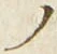 「ノ」字