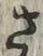 𡨸さ