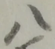 八 위치 확인됨