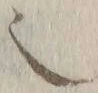 글자 也