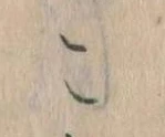 こ 위치 확인됨