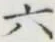 글자 六