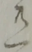 共 위치 확인됨
