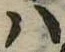 Đã định vị 𛂞