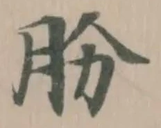肦の位置
