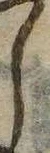 位置 確認된 𛁅