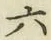 글자 六