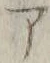 文字 ア