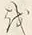文字を