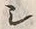 文字シ