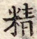 精 위치 확인됨