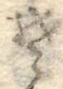 𛁛 위치 확인됨