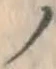 “ノ”字