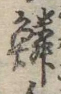 鱗の位置