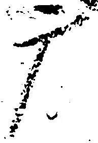广の位置