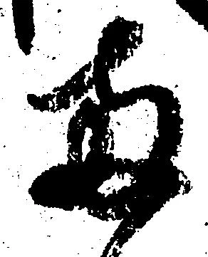 已定位両