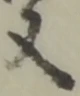 又 위치 확인됨