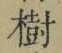 글자 樹