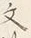 Character 文