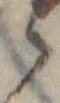 位置 確認된 ゝ