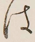 글자 は