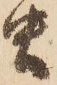 虫の位置