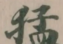 猛の位置