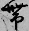 已定位帯
