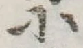 位置 確認된 小