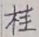 글자 桂